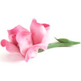 Exquisite Porcelain Rose